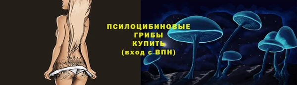 spice Алексин