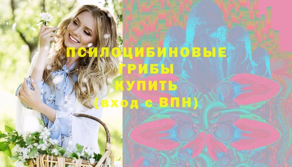 spice Алексин
