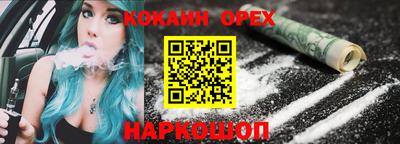 дмт Аргун