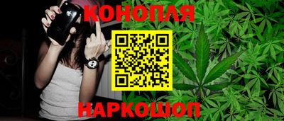 дмт Аргун