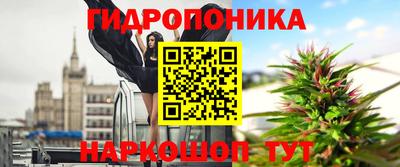дмт Аргун