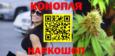 дмт Аргун