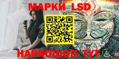 дмт Аргун