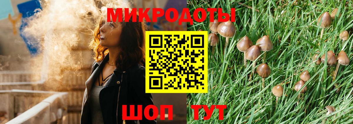 Псилоцибиновые грибы прущие грибы  закладки  Березники  Вход с VPN 